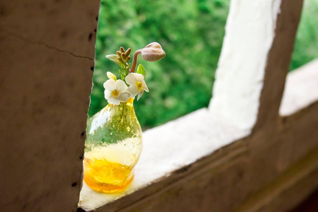 Order of The Gingerbread [Open] House