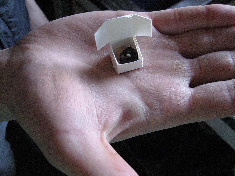 World's Smallest Cake - with Brandon Hinman