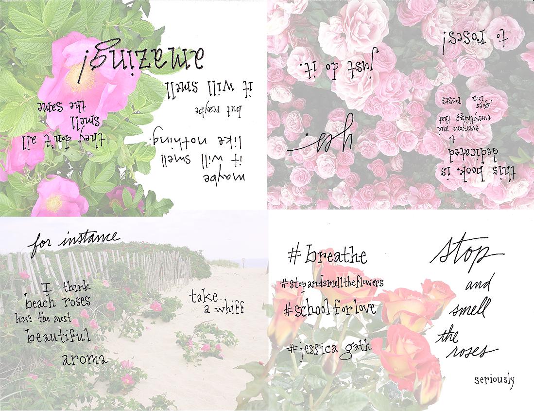 Stop & Smell The Roses