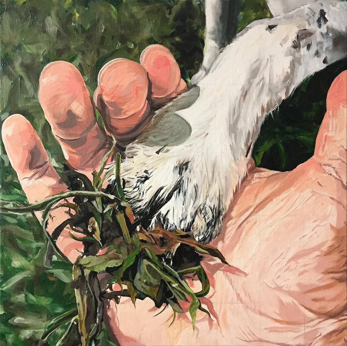 folder_preview_540120