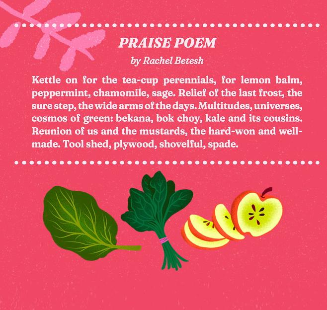 Praise Poem (May) | Rachel Betesh