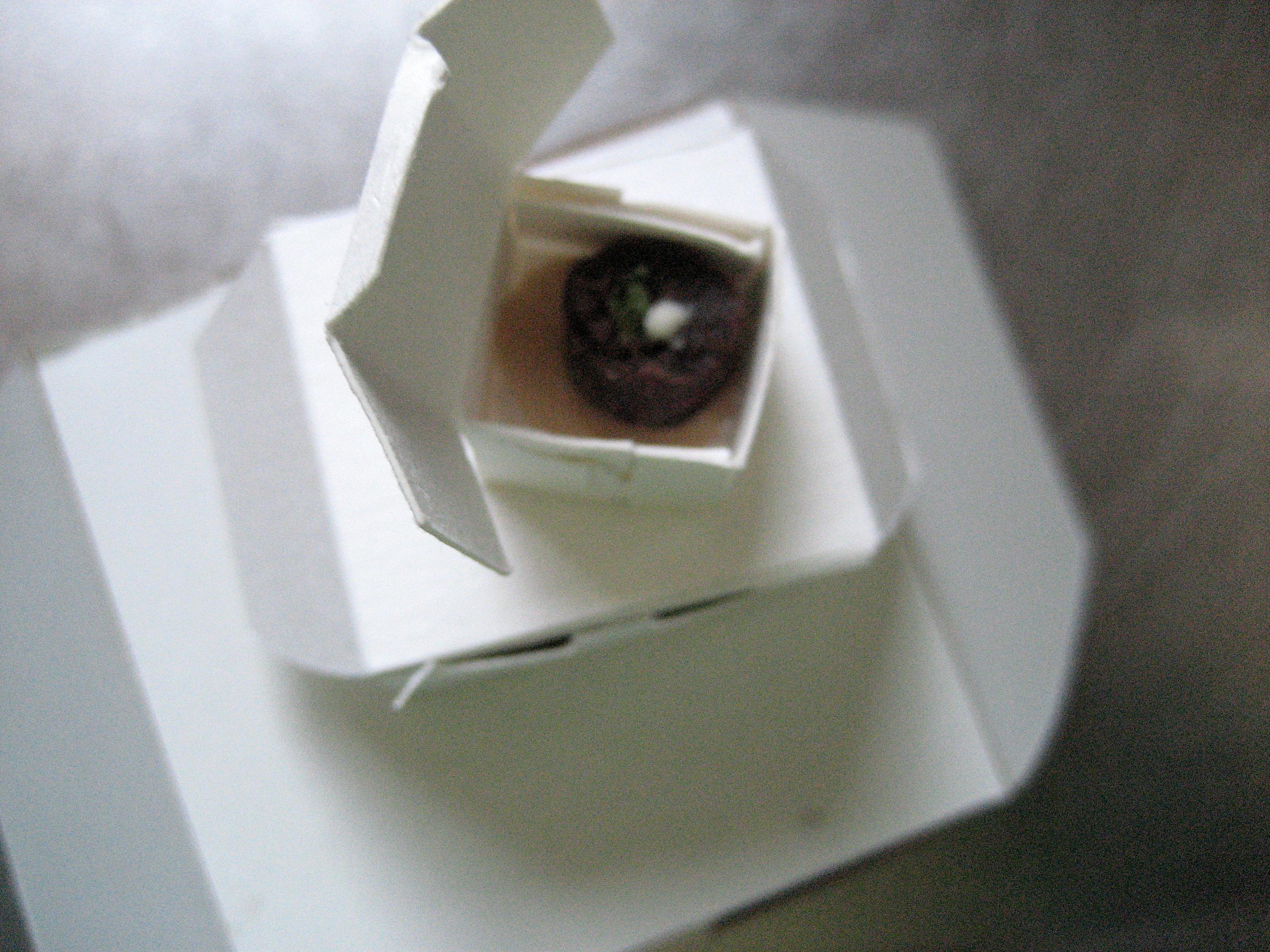 World's Smallest Cake 