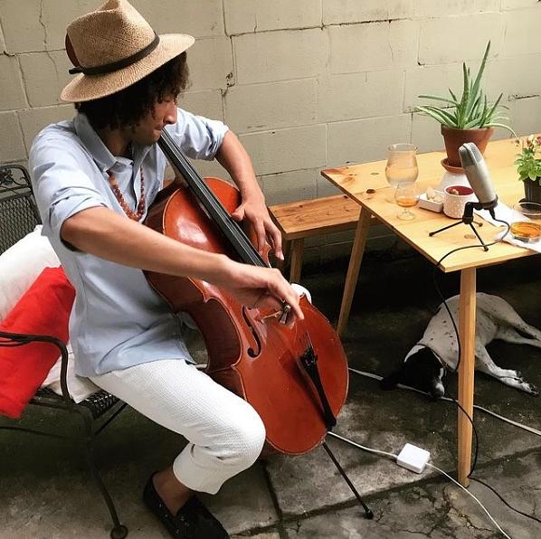 Zeelie Browns Quarantine Sonata